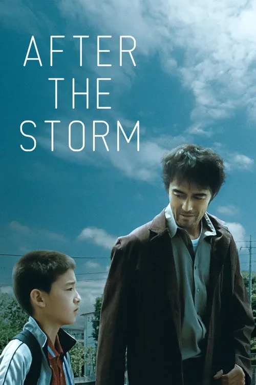 After the Storm (2016) poster