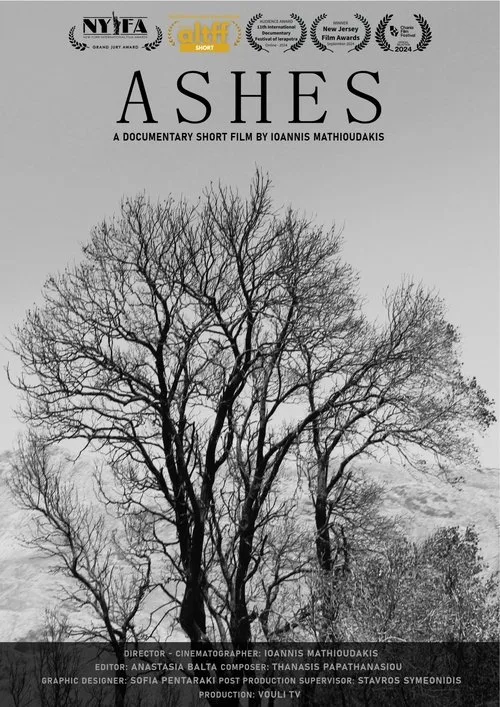 Ashes (2024) poster