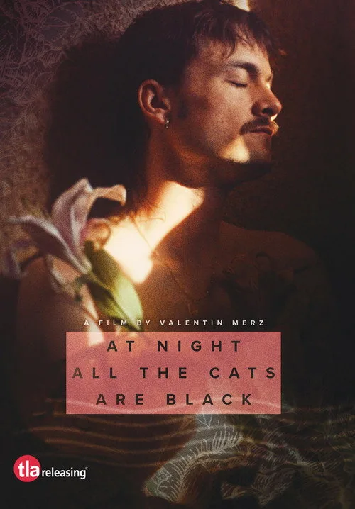 At Night All the Cats Are Black (2023) poster