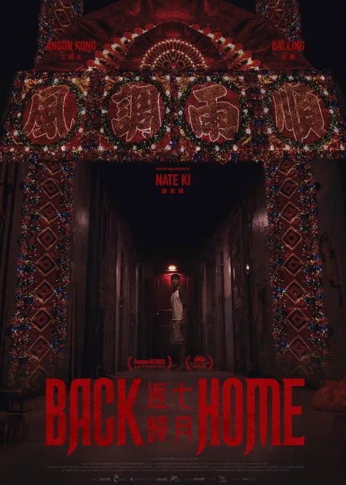 Back Home (2024) poster