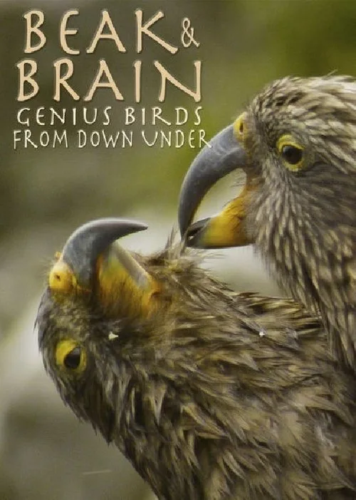 Watch Beak & Brain - Genius Birds from Down Under (2013) online free - poster
