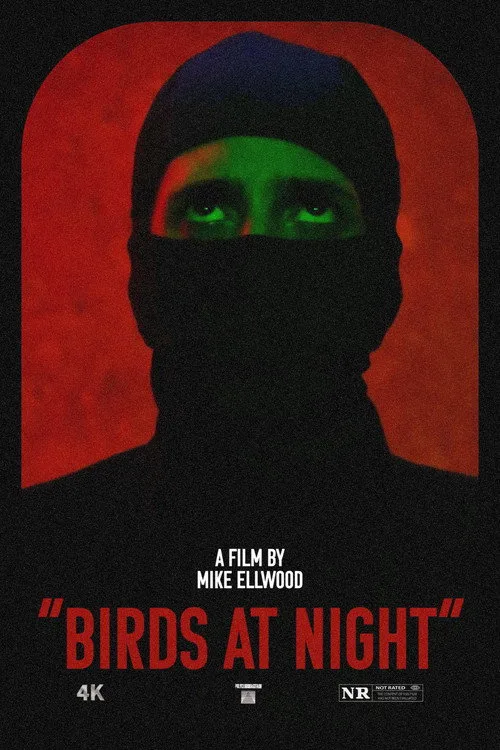 Birds at Night (2024) poster