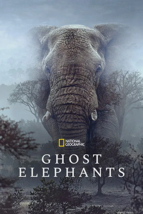 Ghost Elephants (2026) poster