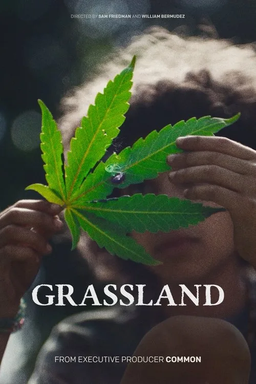 Grassland (2024) poster