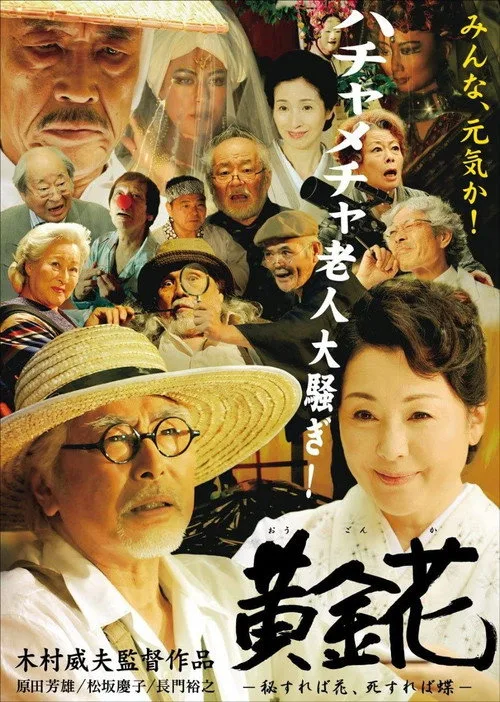 Hidden (2009) poster
