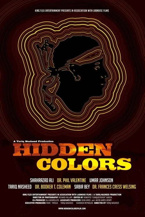 Hidden Colors (2011) poster
