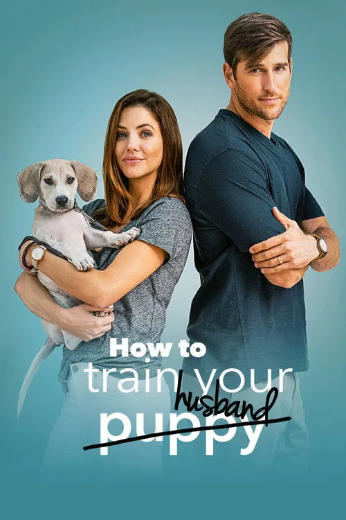 How to Train Your Husband (2018) poster