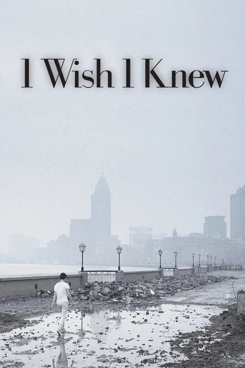 I Wish I Knew (2010) poster