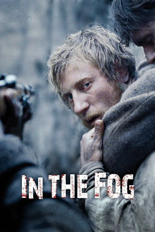 In the Fog (2012) poster