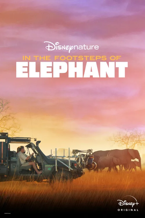 In the Footsteps of Elephant (2020) poster