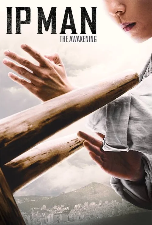 Ip Man: The Awakening (2022) poster
