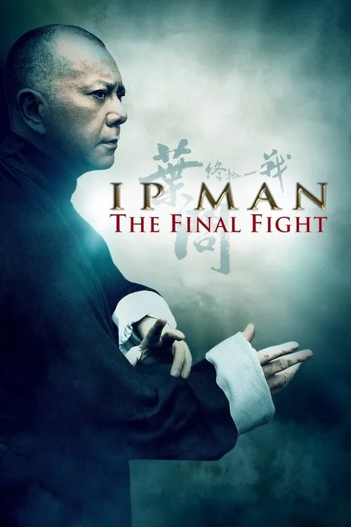 Ip Man: The Final Fight (2013) poster