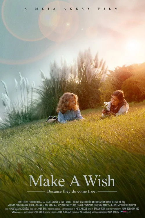 Make a Wish (2024) poster