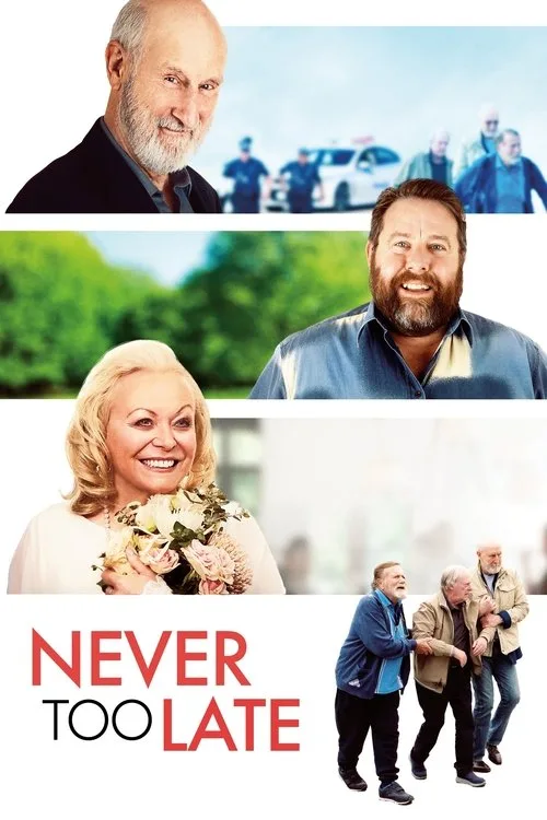 Never Too Late (2020) poster