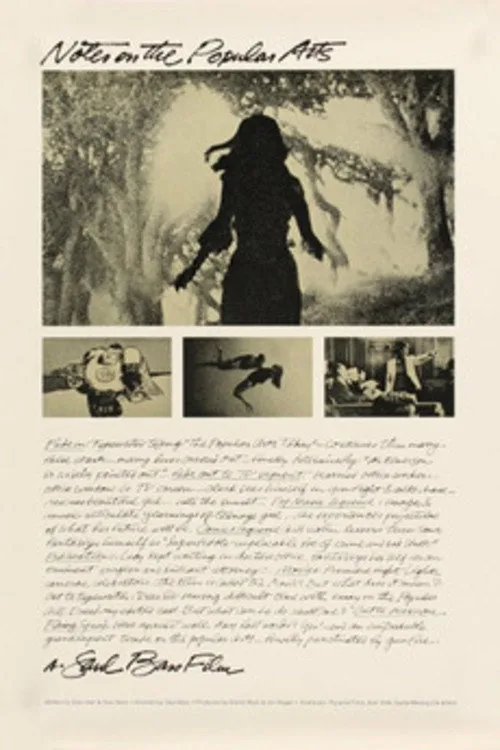 Notes on the Popular Arts (1978) poster