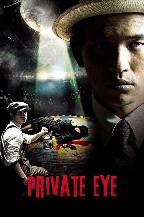 Private Eye (2009) poster