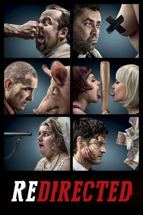 Redirected (2014) poster