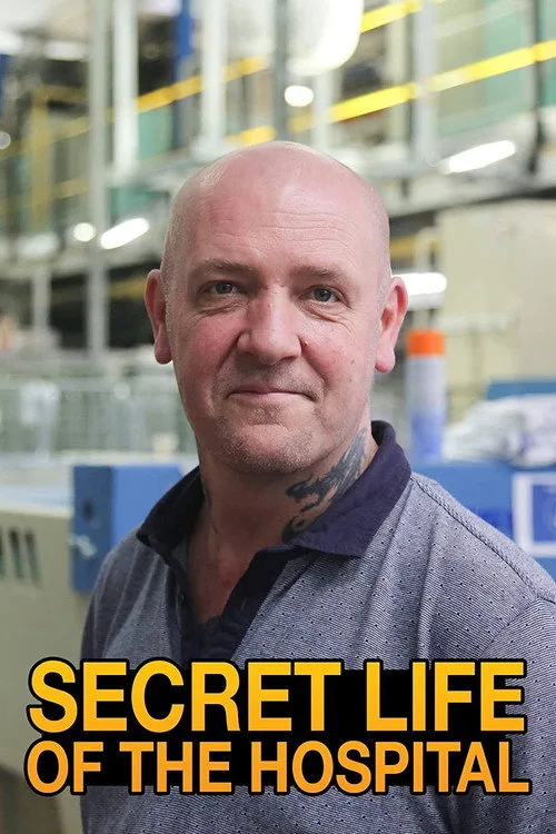 Secret Life of the Hospital (2018) poster