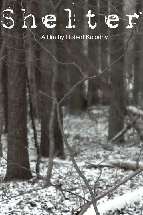 Shelter (2010) poster