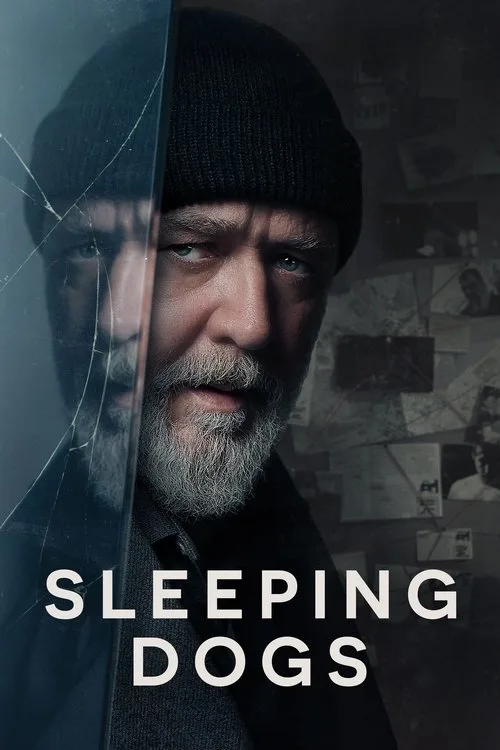 Sleeping Dogs (2024) poster