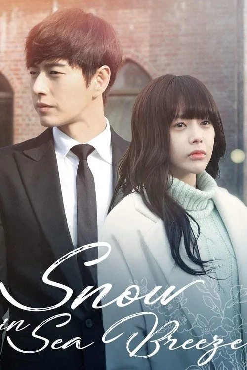 Snow In Sea Breeze (2015) poster