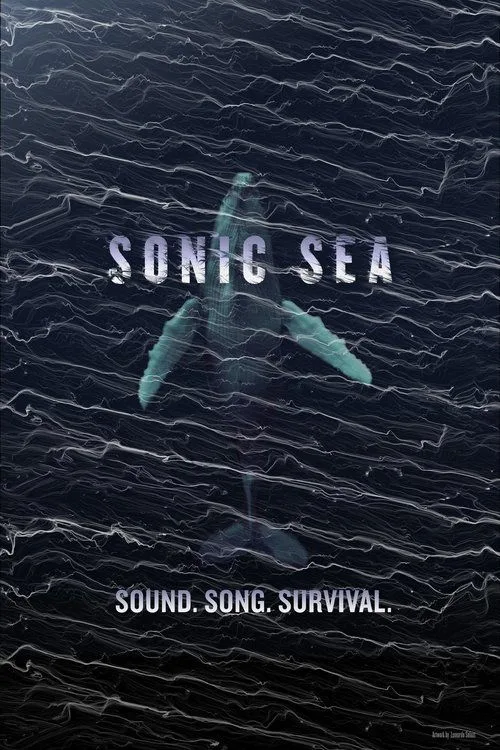 Sonic Sea (2016) poster