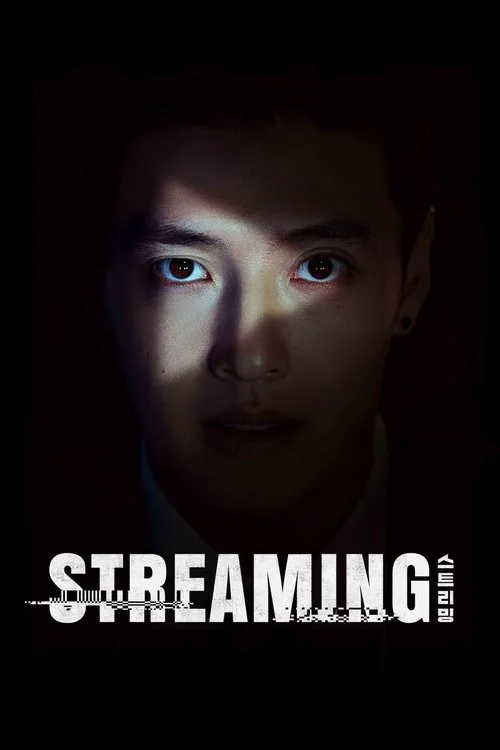 Streaming (2025) poster