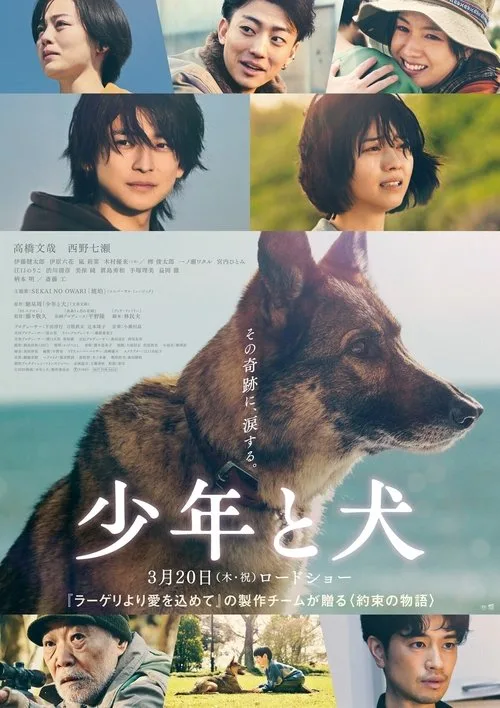 The Boy and the Dog (2025) poster
