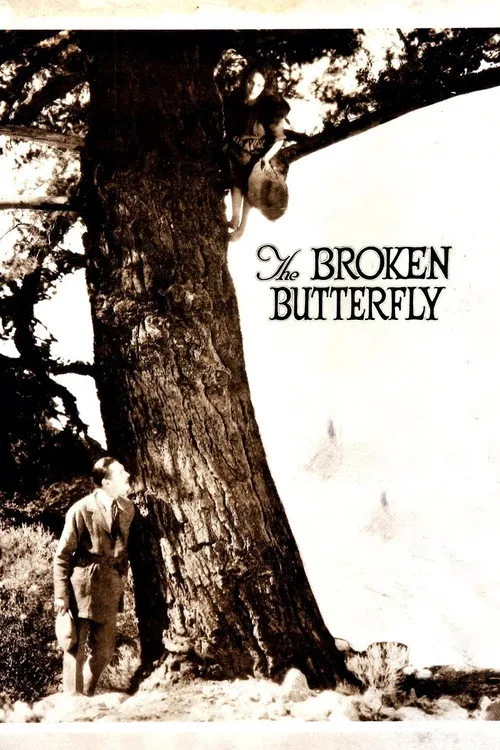 The Broken Butterfly (1919) poster