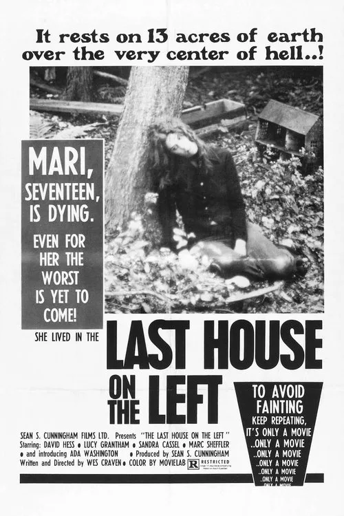 The Last House on the Left (1972) poster