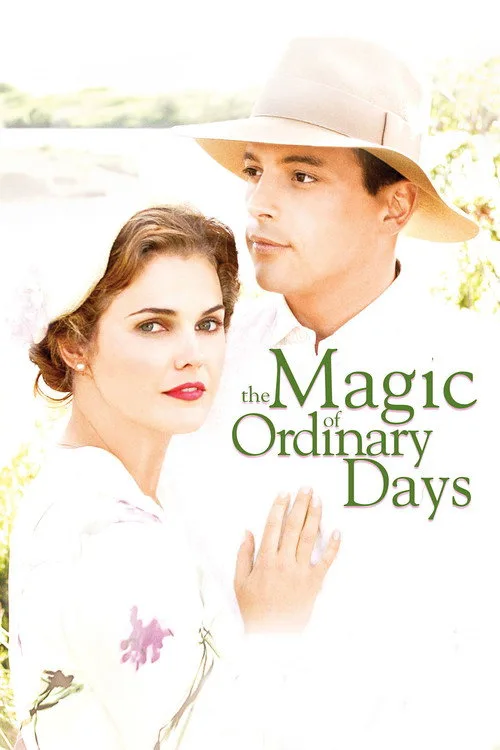 The Magic of Ordinary Days (2005) poster