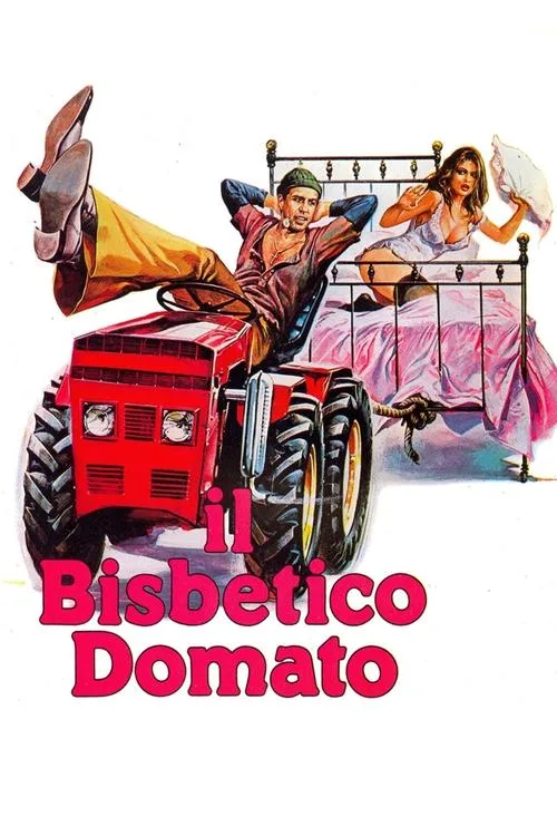 The Taming of the Scoundrel (1980) poster