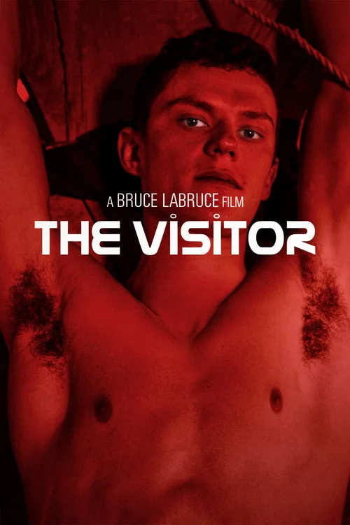 The Visitor (2024) poster