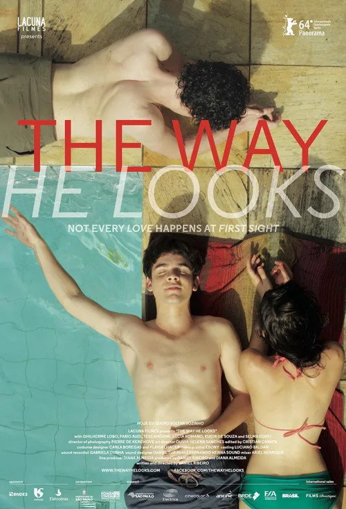 The Way He Looks (2014) poster