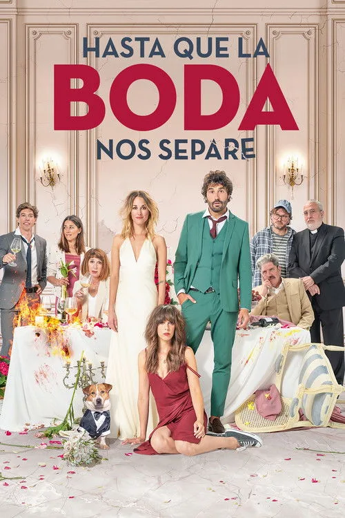 The Wedding Unplanner (2020) poster