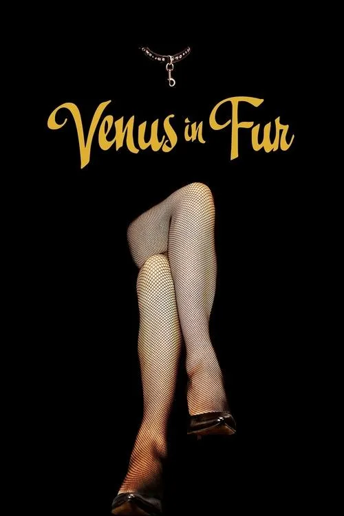 Venus in Fur (2013) poster