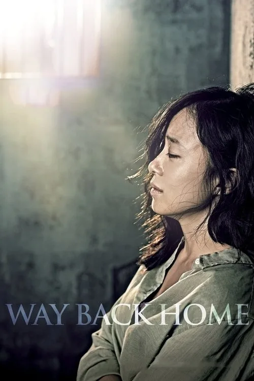 Way Back Home (2013) poster