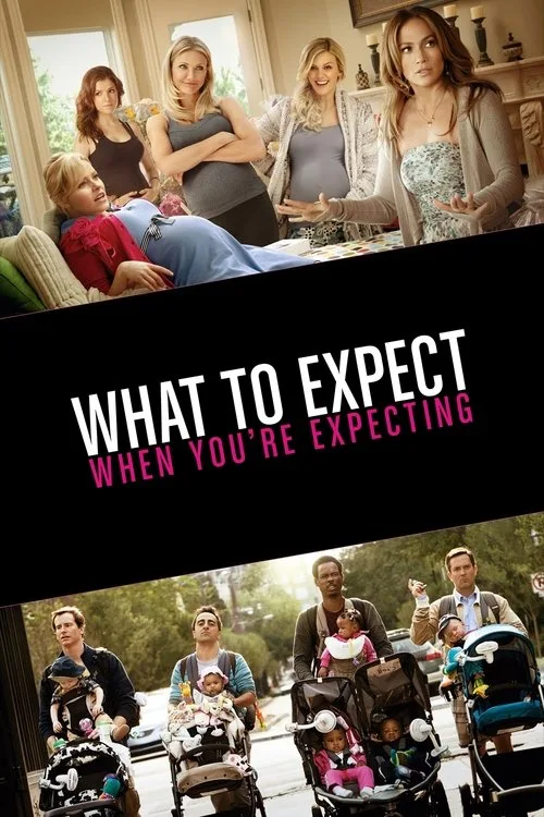 What to Expect When You're Expecting (2012) poster