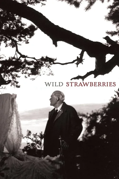 Watch Wild Strawberries (1957) online free - poster