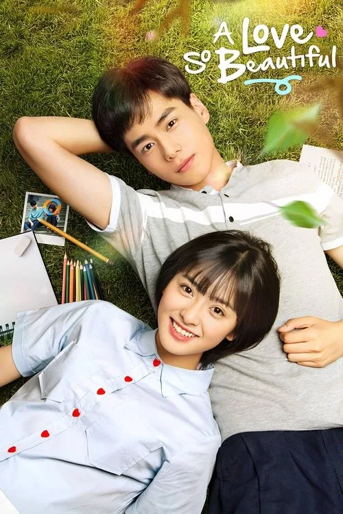 A Love So Beautiful (2017) poster