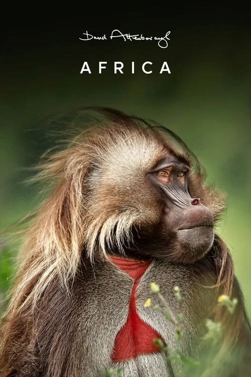 Africa (2013) poster