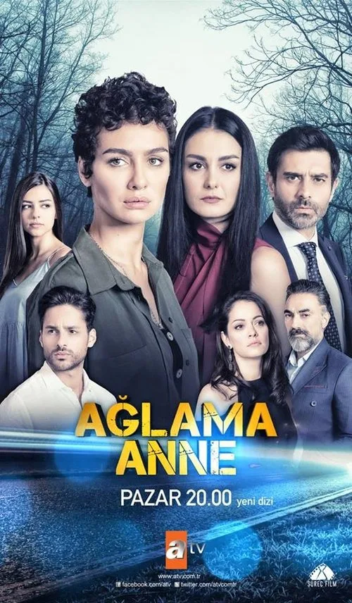 ANNE+ (2018) poster