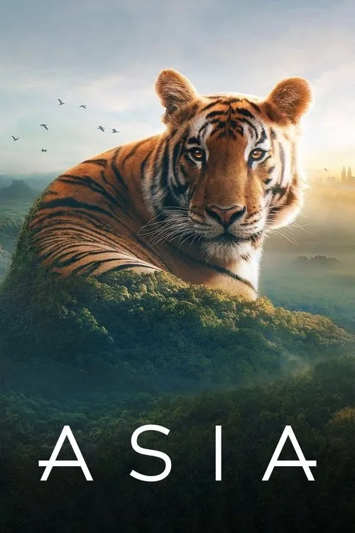 Watch Asia (2024) online free - poster
