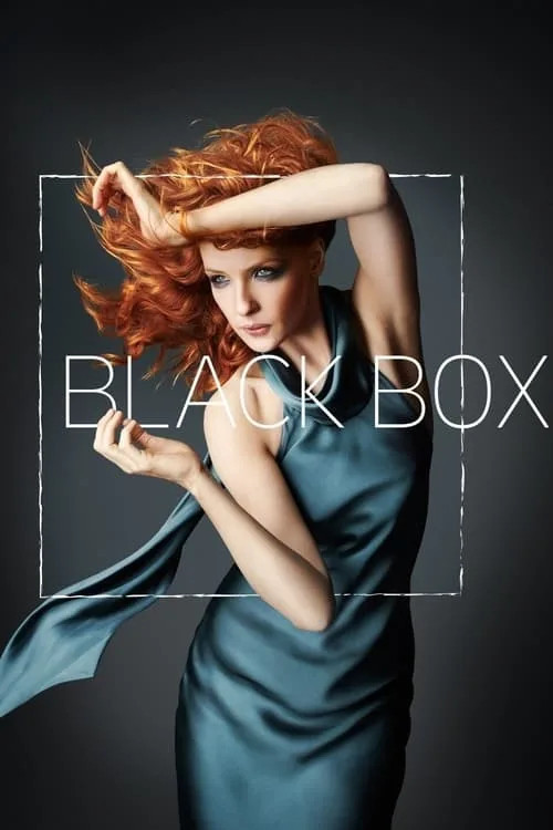 Black Box (2014) poster