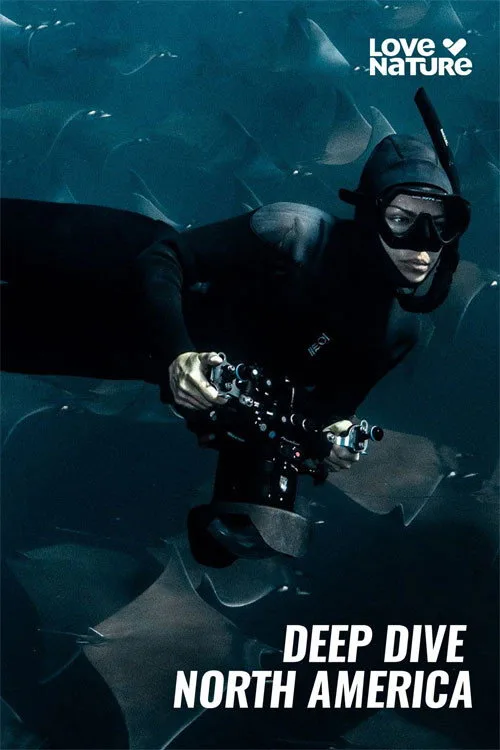 Deep Dive North America (2025) poster