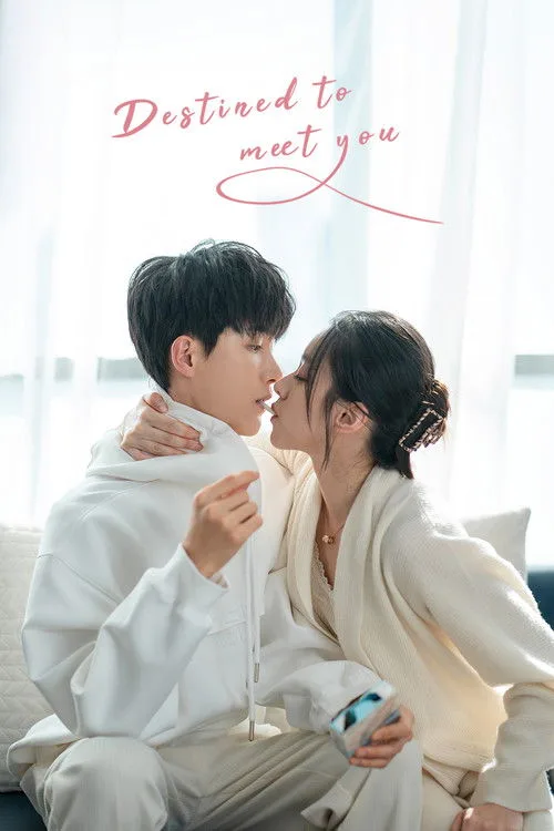 Destined to Meet You (2022) poster