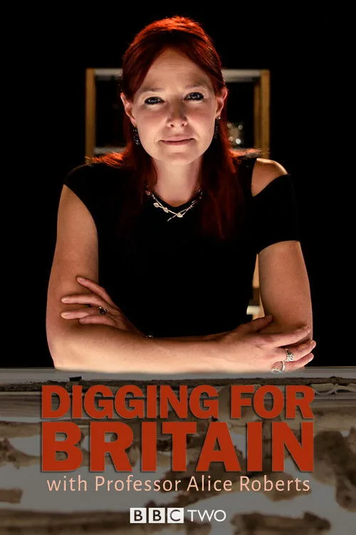 Digging for Britain (2010) poster