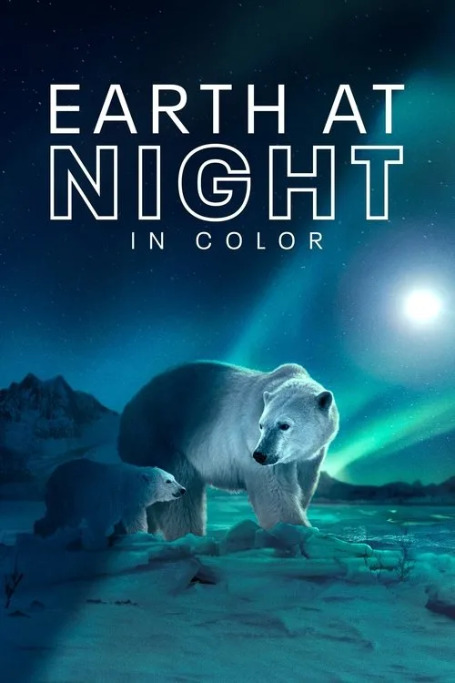 Earth at Night in Color (2020) poster