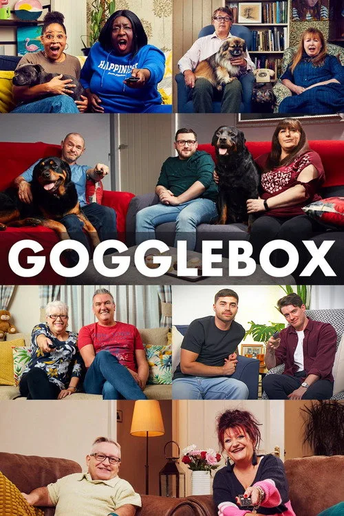 Gogglebox (2013) poster