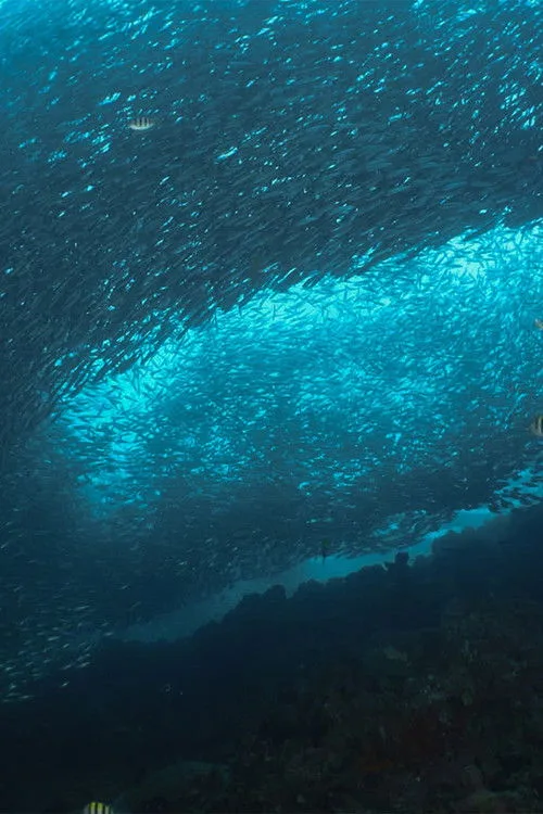 Watch Inside the Enchanted Waterways (2025) online free - poster